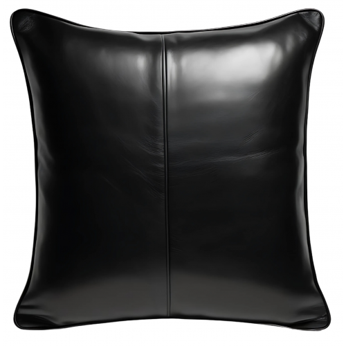 Coussin cuir de crocodile véritable ou vachette impression crocodile 105€ devant et arrière en vachette plongée 45 x 45 ref: 23